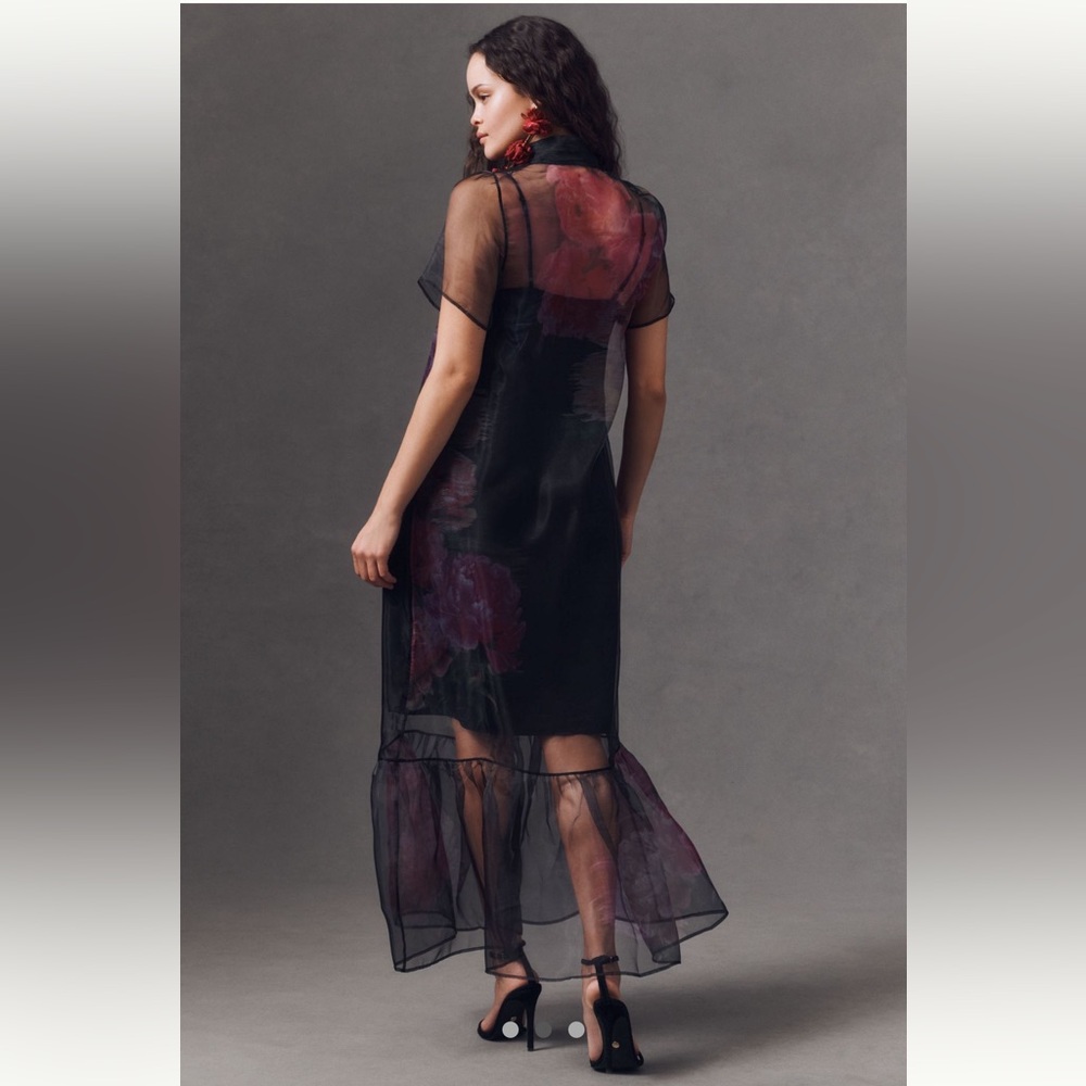 NWT BHLDN Carina Short-Sleeve High-Neck
Organza Midi Dress size Small - Picture 2 of 6